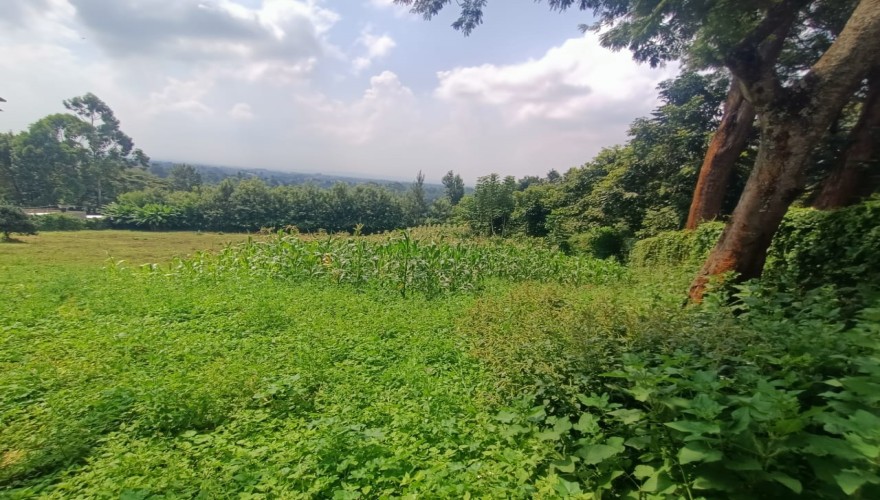 1.2 Acres Prime Land for Sale – Uppe...