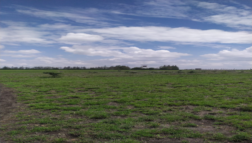 15 Acres for Sale in Kajiado – Prime...