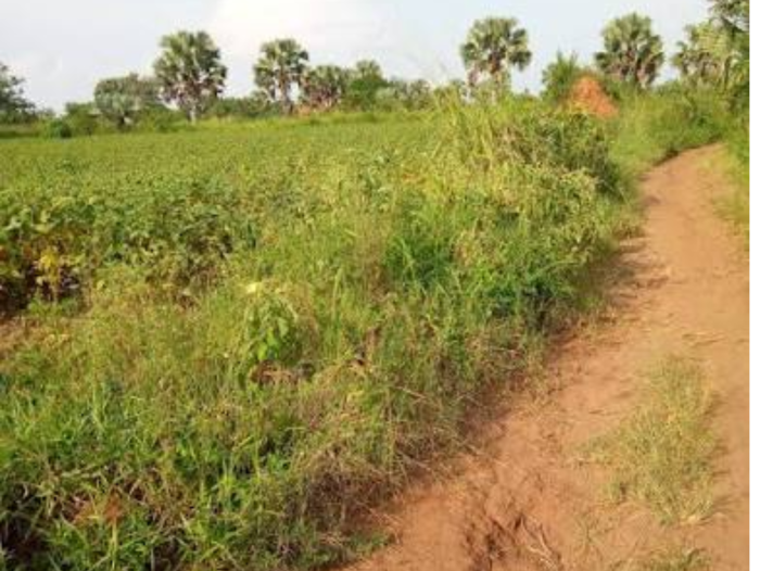 RIANDIRA LAND FOR SALE