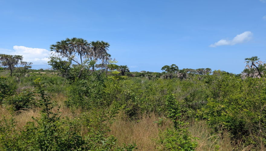 DIANI LAND FOR SALE