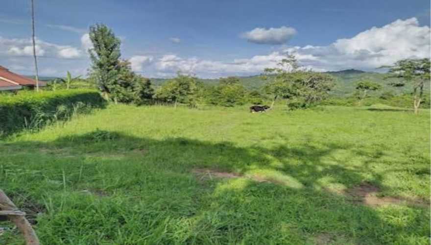 RIANDIRA LAND FOR SALE