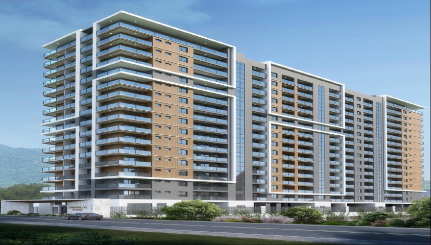 Diamond Ivy - A real Gem for real lu...