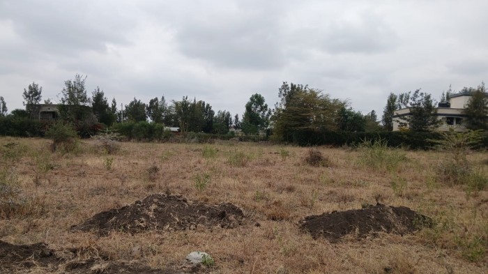 Sensei Plots - Current landing for Home owners in Kitengela