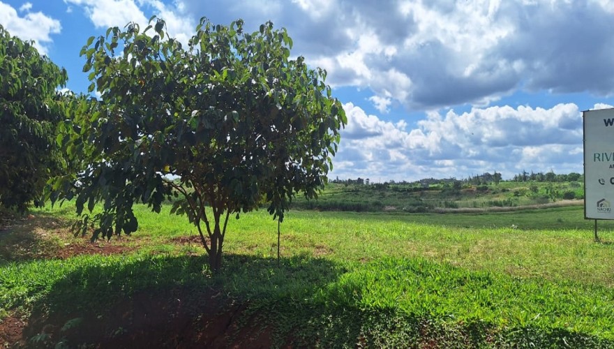 Ruiru Mugutha - Plots within A Gated...