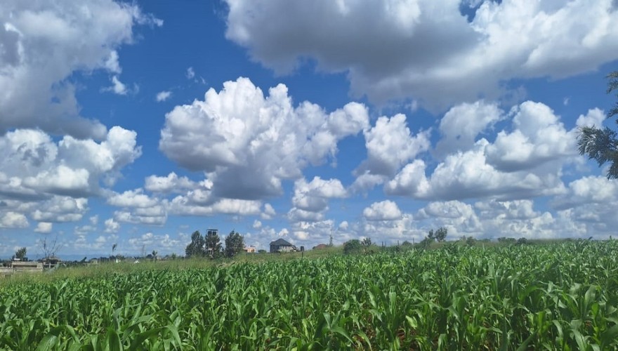 Ruiru Mugutha - Plots within A Gated...