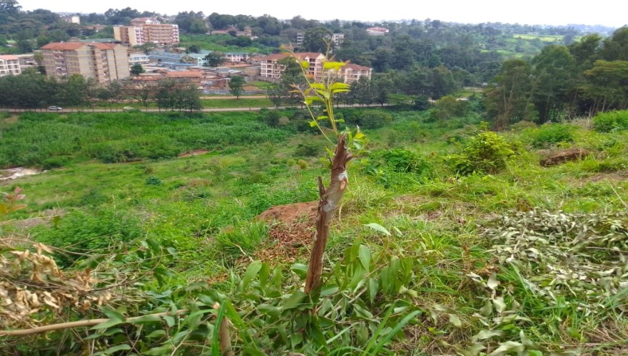 Naivasha Road (RIruta) Plots - GET O...