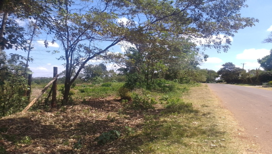 1/2 (Half) Acre  Plot for Sale along...