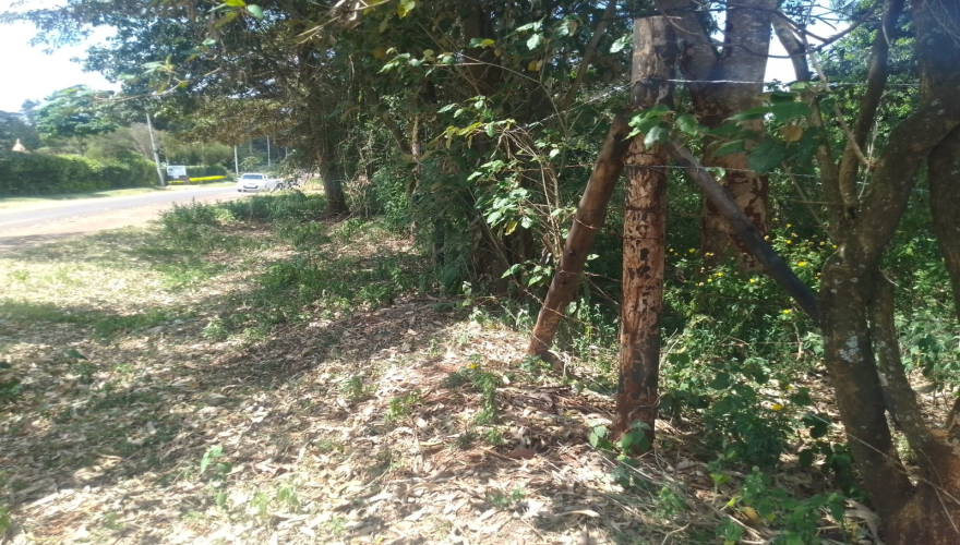 1/2 (Half) Acre  Plot for Sale along...
